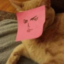::cattos28::