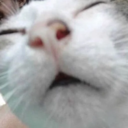 ::cattos34::