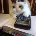 ::cattos56::