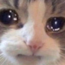 ::cattos64::