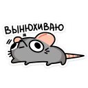 :chris9: