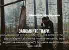 Picsart_24-12-24_15-35-42-408.jpg