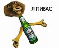 IMG_2943.jpeg