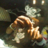 Nine_Thou