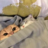 Leo_Tiger