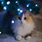 Kiro_Palaski