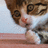 Dmitry_Suden